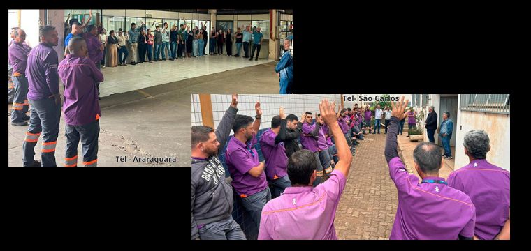 TEL Araraquara e So Carlos